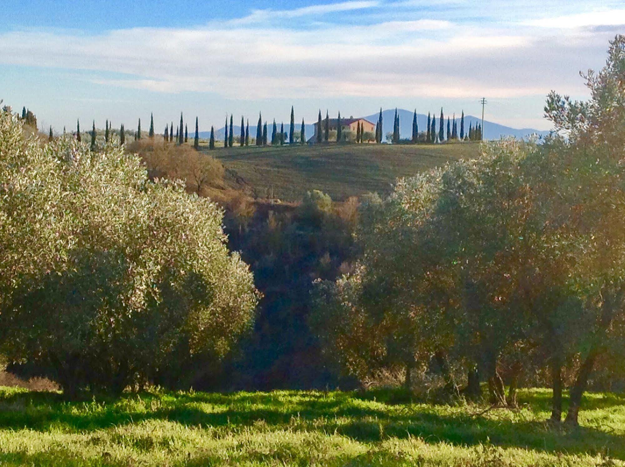Podere Fornaci Asciano Εξωτερικό φωτογραφία